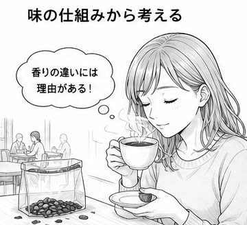 タリーズとスタバのコーヒー、どっちが美味しいか味の仕組みから考える
