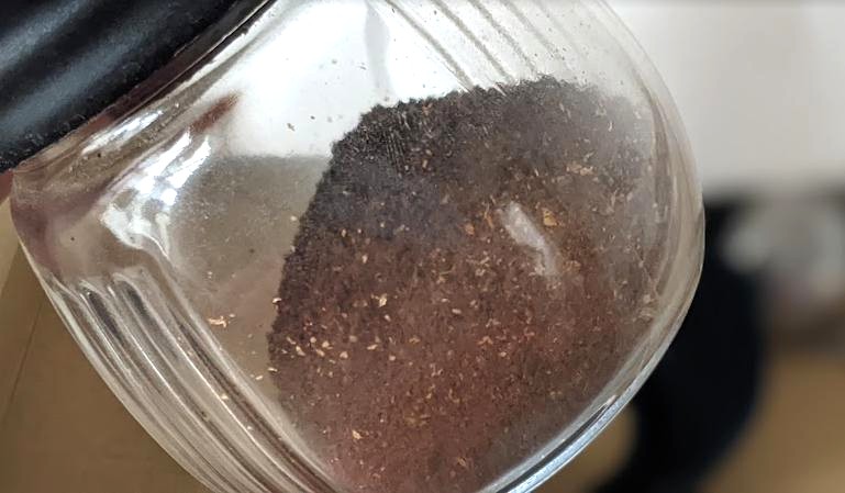 nif coffeeお試しセットのふつうの豆をミルで挽いたところ
